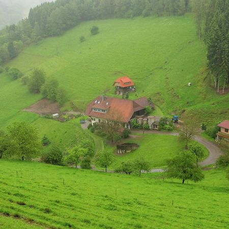 Cosy Farmhouse Apartment At The Edge Of The Forest Muehlenbach Ngoại thất bức ảnh