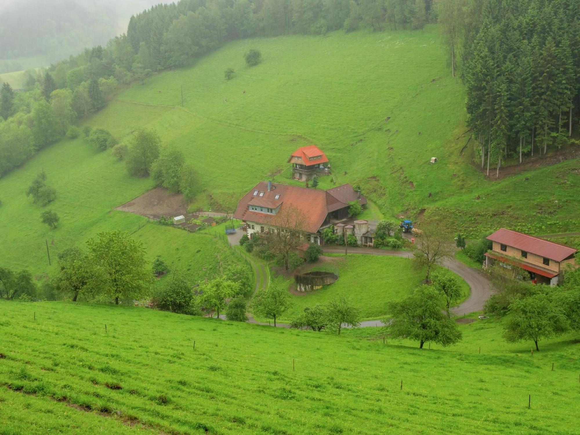 Cosy Farmhouse Apartment At The Edge Of The Forest Muehlenbach Ngoại thất bức ảnh